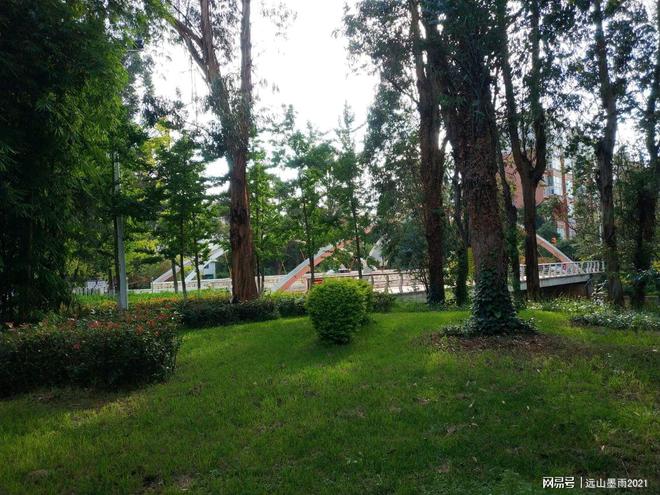 必一运动官网一日游爬山需要带什么？(图3)