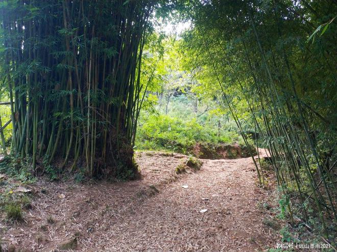 必一运动官网一日游爬山需要带什么？(图5)