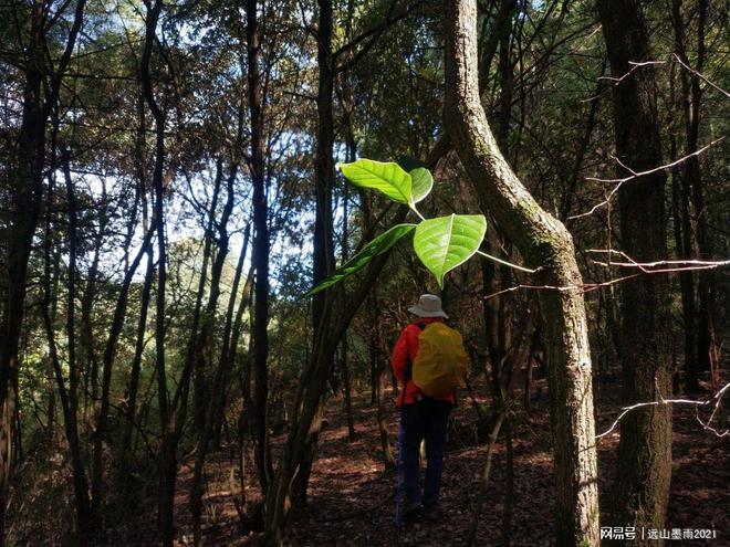 必一运动官网一日游爬山需要带什么？(图6)