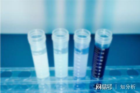 必一运动官网探险乐趣畅游爬山之旅(图2)