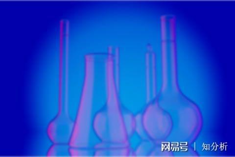 必一运动官网探险乐趣畅游爬山之旅(图3)