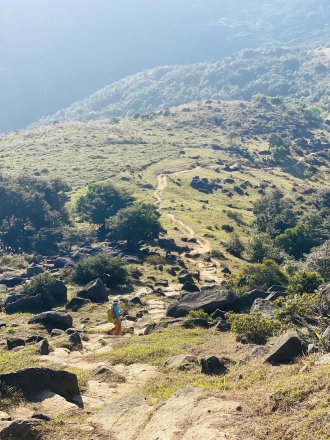 香港必一体育官网之巅｜迎新2024香港跨年徒步登山大会(图5)