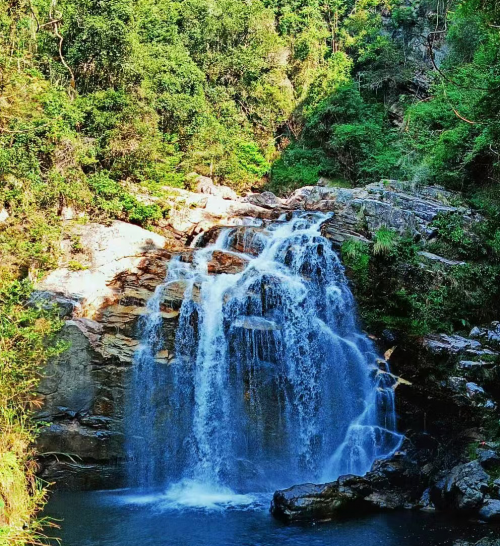 够野你就来——2024中国南酸枣之乡旅游文化音乐节齐云山登山节圆满收官必一体育官网(图11)