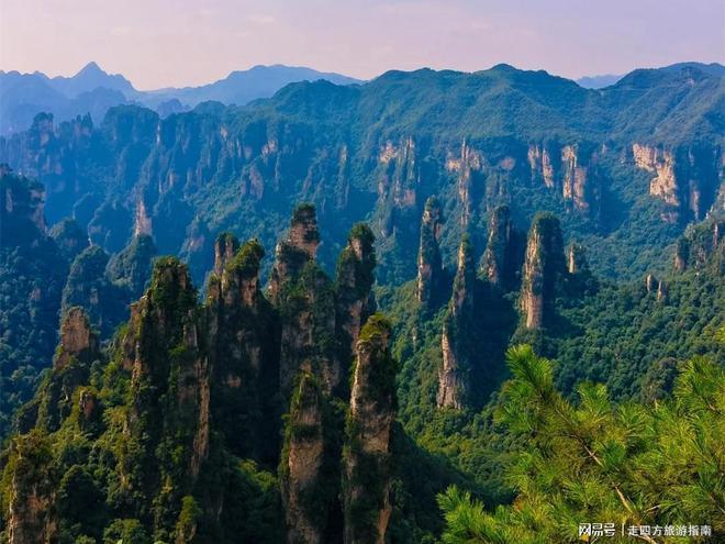 去张家界五天怎么玩攻略|暑假亲子程天门山+凤凰古城路线(图7) 去张家界五天怎么玩攻略|暑假亲子程天门山+凤凰古城路线(图7)