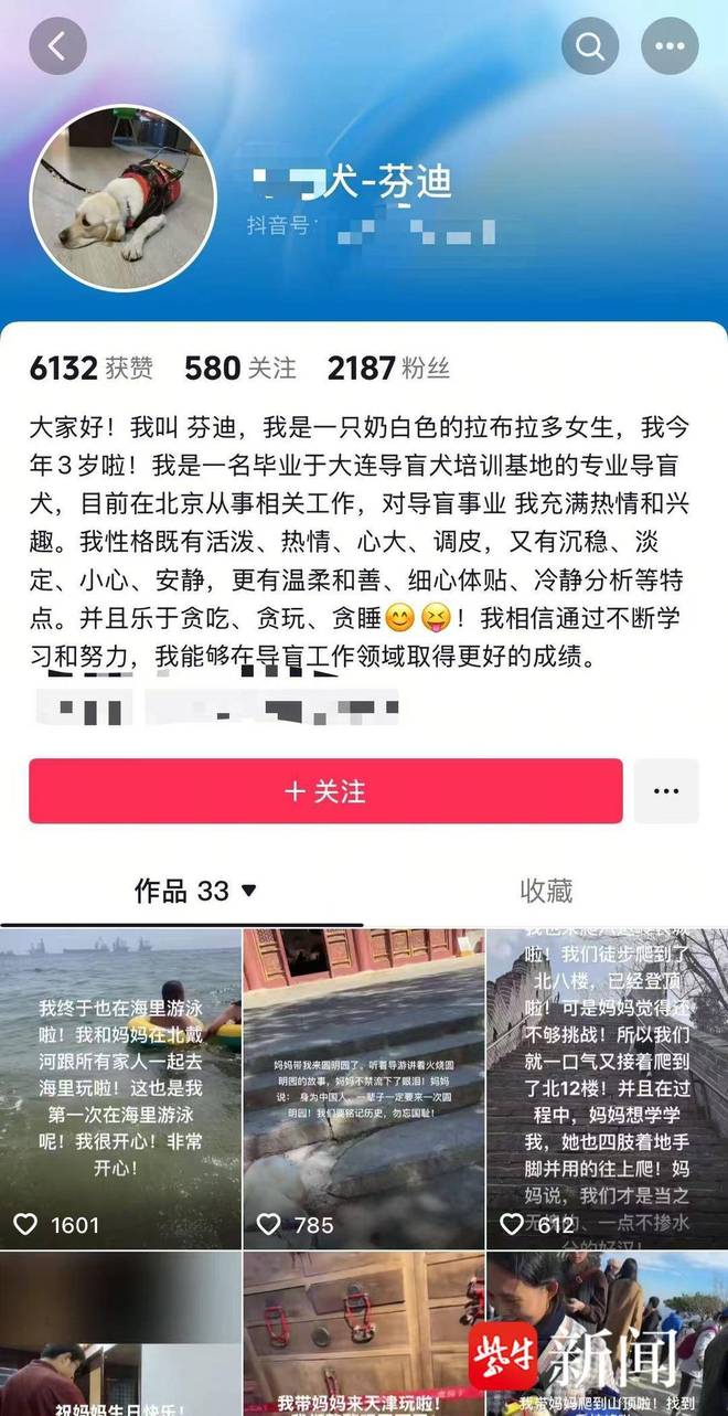 视障人士携导盲犬雨夜爬泰山引争议业内人士：导盲犬能否登山需经专业综合评估(图3)