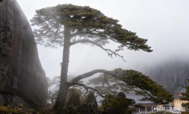 最全黄山两天2天旅游保险攻略！黄山安心游投保+装备险条款(图4)