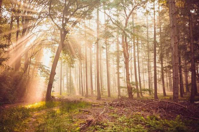 户外运动装备轻量化设计受欢迎(图2)